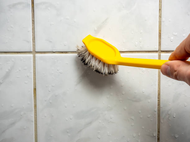 Best Attic Mold Removal  in Chillicothe, MO