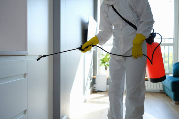 Mold Removal and Inspection in Chillicothe, MO