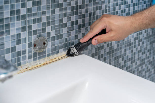Best Toxic Mold Removal  in Chillicothe, MO